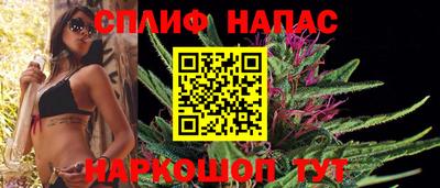 амф Камышлов