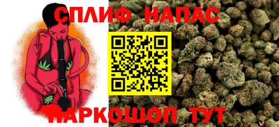 амф Камышлов
