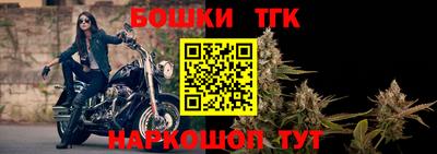 амф Камышлов