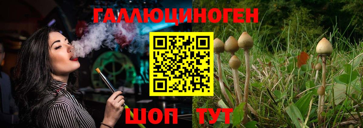 Галлюциногенные грибы MAGIC MUSHROOMS  Вход с VPN  Псилоцибиновые грибы Psilocybe  Лениногорск 