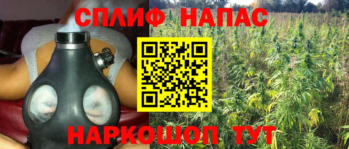 Конопля Ganja Лениногорск
